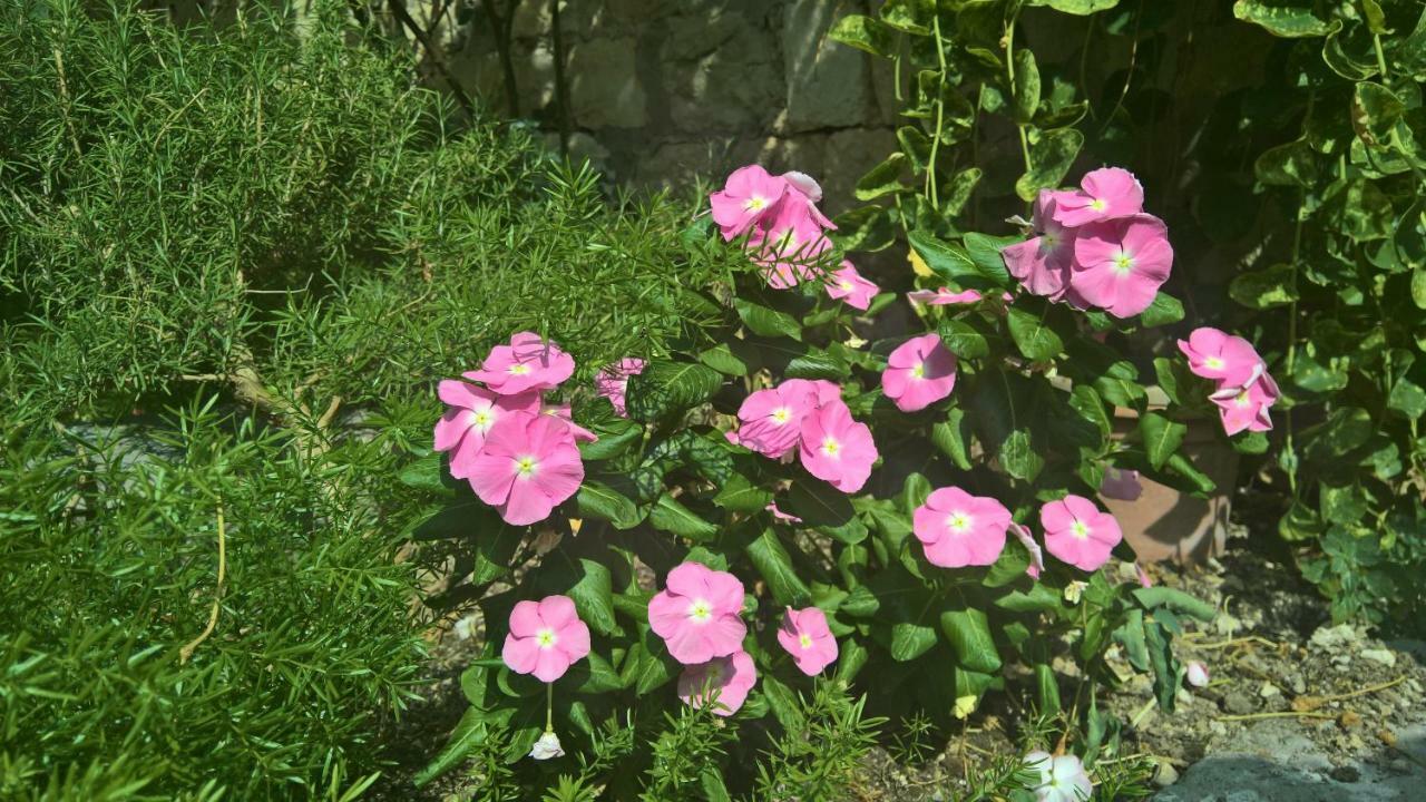 Nanna'S Little Paradise Хвар Екстериор снимка